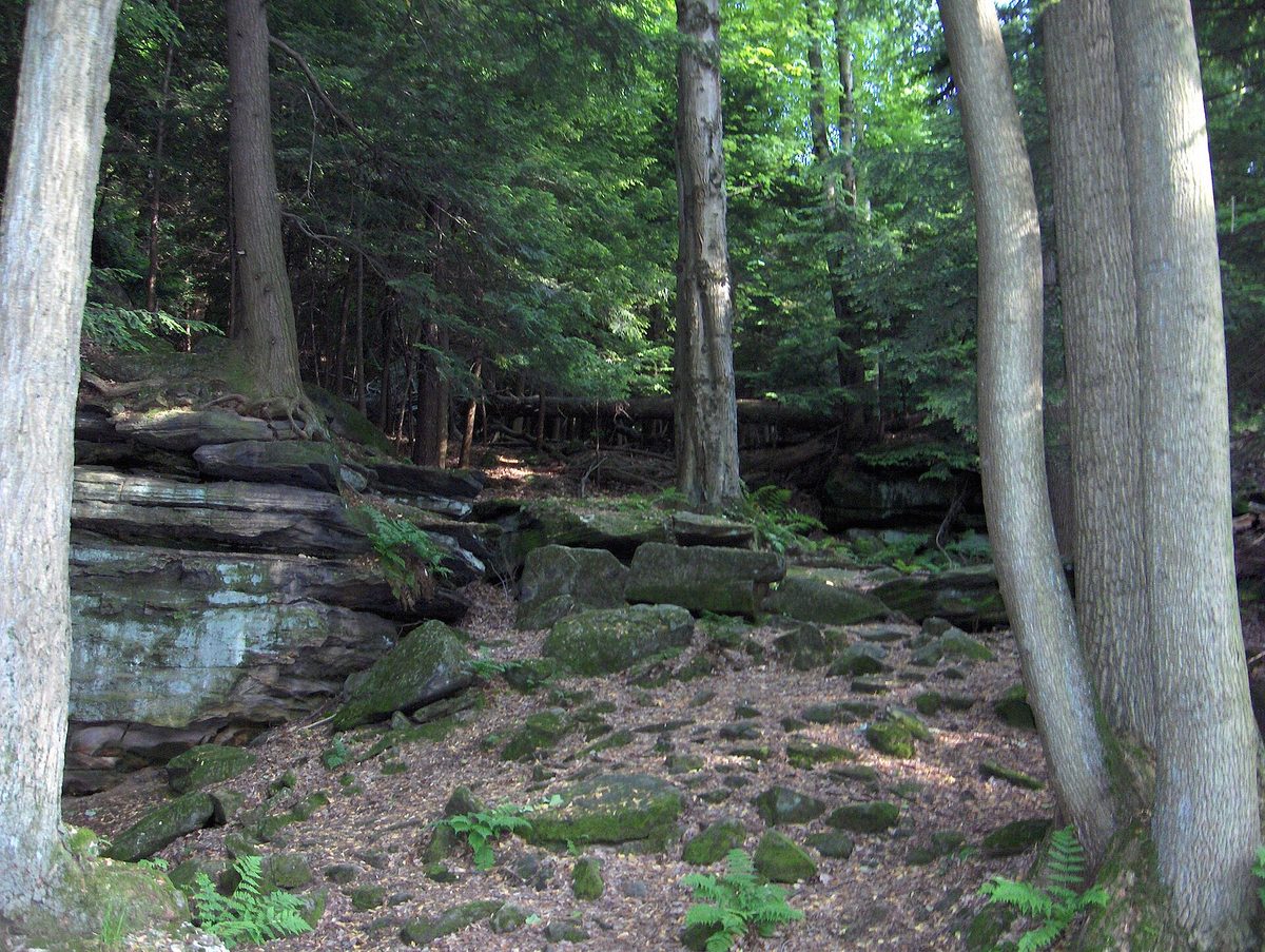 Forested ridge in Cuyahoga Valley National Park, Ohio